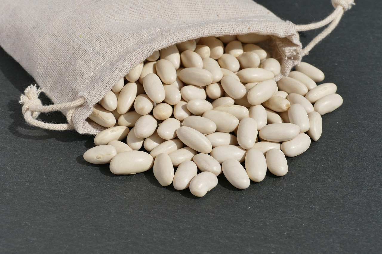 ถั่วขาวดิบ (White Beans / Cannellini, raw) — 10 อันดับอาหารธรรมชาติที่มีปริมาณโพแทสเซียมสูงที่สุดต่อ 100 กรัม