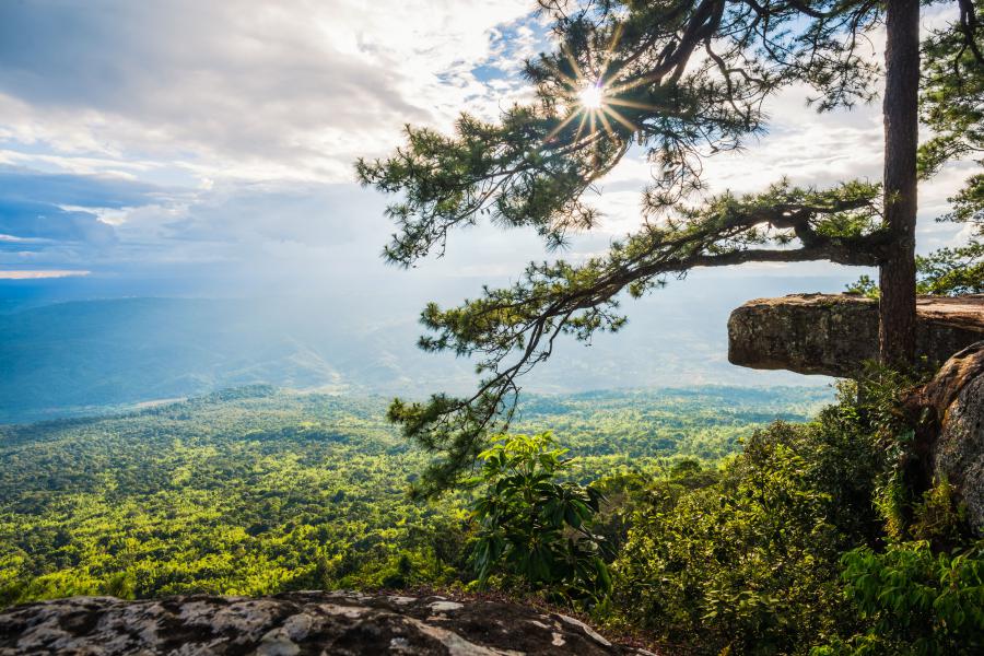 อุทยานแห่งชาติภูกระดึง — 10 อุทยานแห่งชาติยอดนิยมในไทยสำหรับเส้นทางเดินป่าศึกษาธรรมชาติและแคมป์ปิ้ง สัมผัสความสมบูรณ์แห่งพงไพรรับปลายปี 2569
