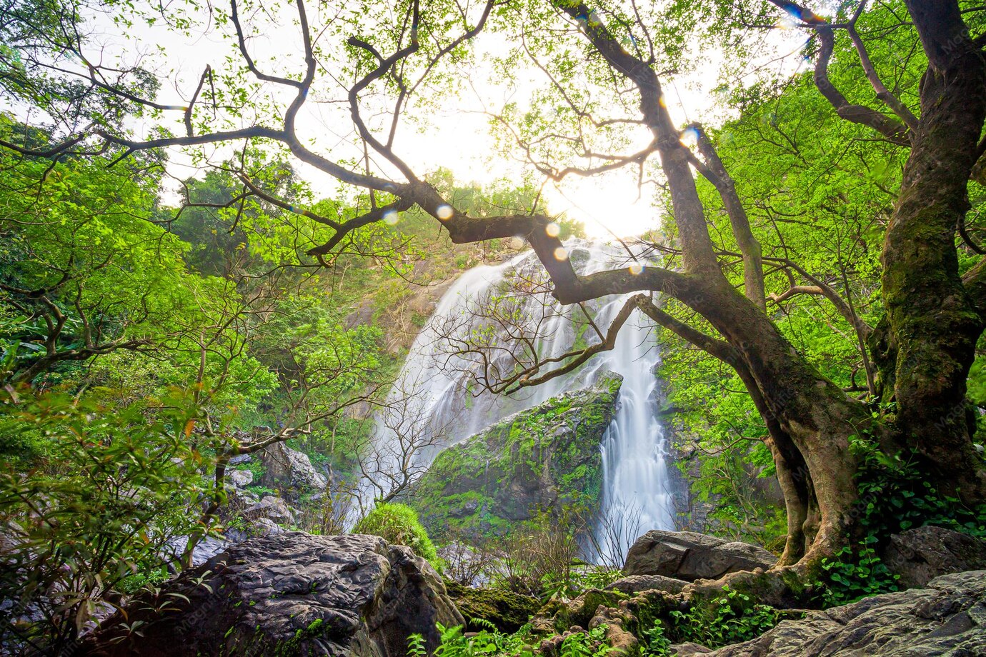 อุทยานแห่งชาติคลองลาน — 10 อุทยานแห่งชาติยอดนิยมในไทยสำหรับเส้นทางเดินป่าศึกษาธรรมชาติและแคมป์ปิ้ง สัมผัสความสมบูรณ์แห่งพงไพรรับปลายปี 2569