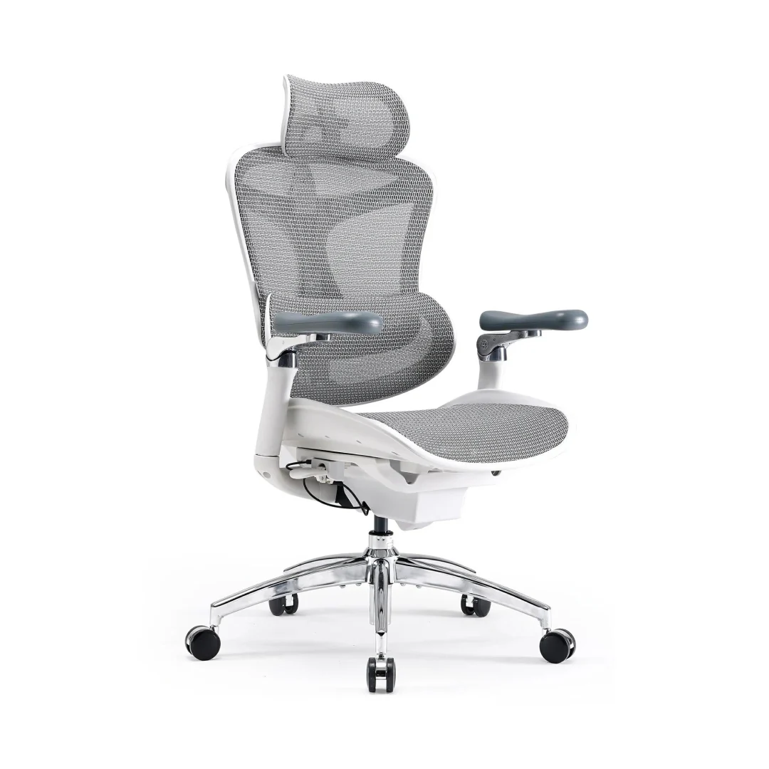 Sihoo Doro C300 Pro V2 — 10 นวัตกรรมเก้าอี้และอุปกรณ์การยศาสตร์ (Ergonomic Desk Setup) ยอดนิยมปี 2026 เพื่อสุขภาพหลังและเพิ่มประสิทธิภาพการทำงาน