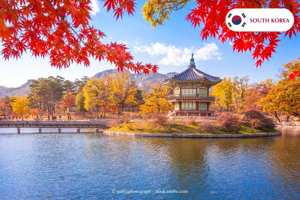 เกาหลีใต้ (South Korea) — รายการแนะนำประเทศผู้ส่งออกเส้นด้ายและเส้นใยสังเคราะห์รายใหญ่ในโลก อัปเดตสถิติล่าสุดปี 2026